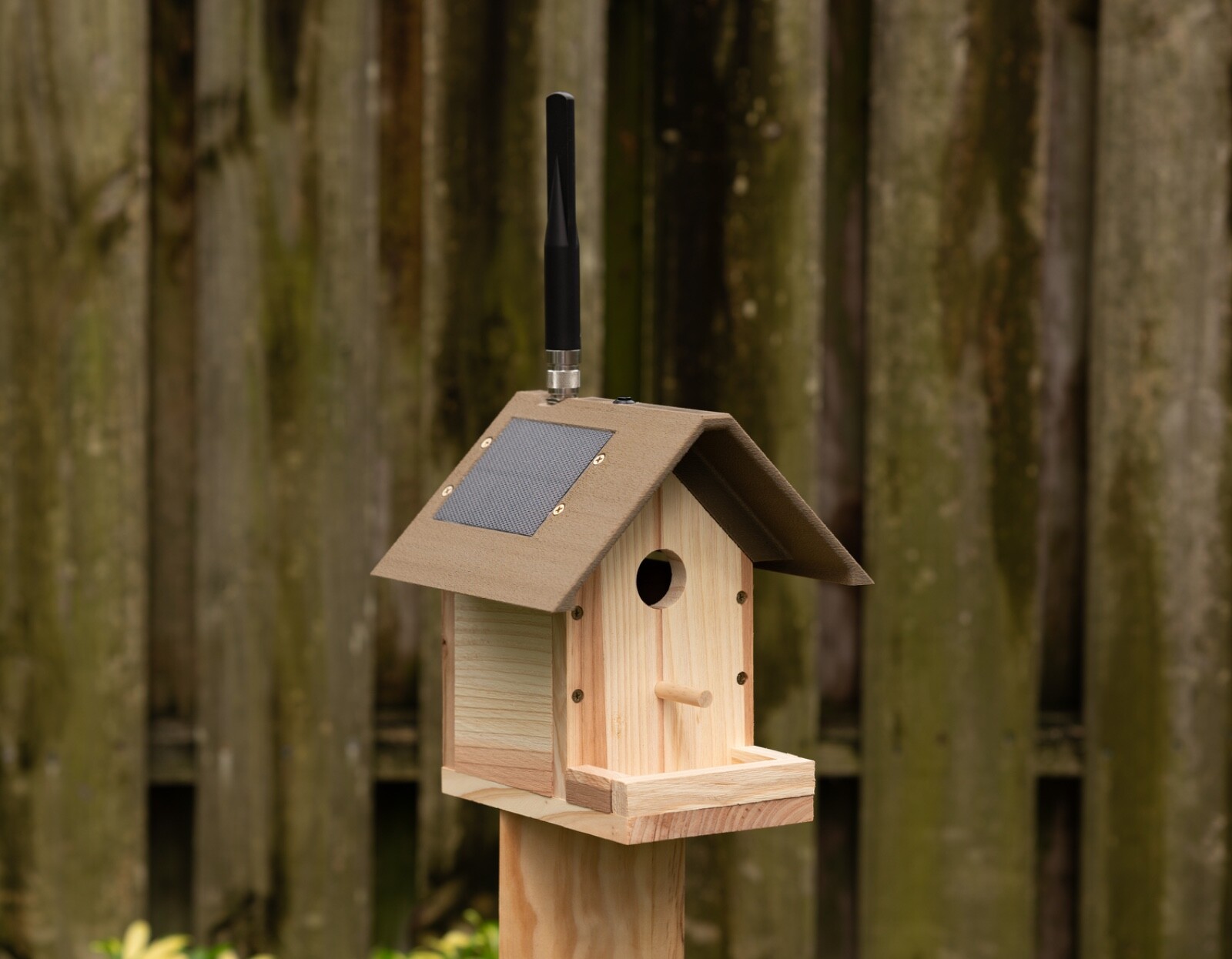 PEAKmesh Birdhouse Solar Meshtastic Node